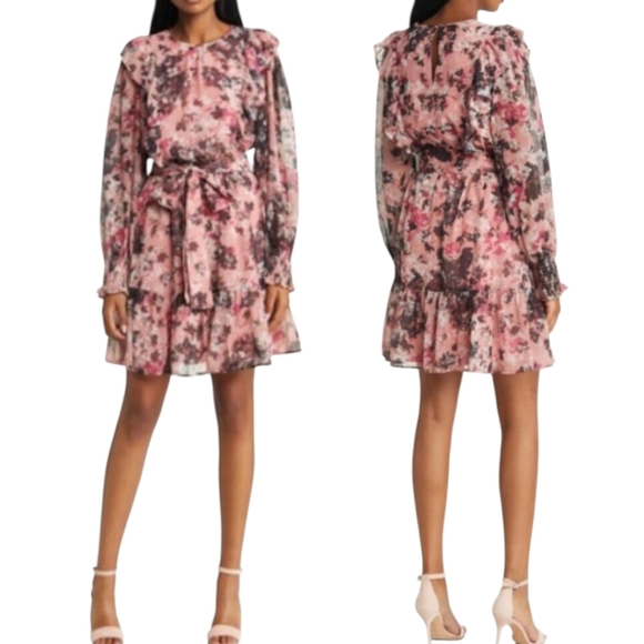 Rachel Parcell Pink Floral Long Sleeve chiffon ruffle Coquette Girl Dress Sz 2 - Picture 2 of 11